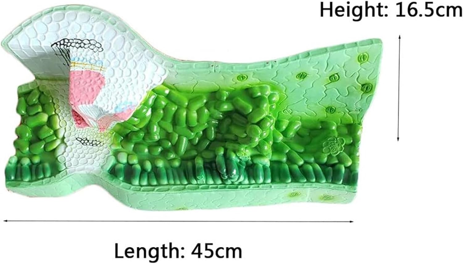 シトリンクラスター 原石 虹入り マスタークリスタル L パワーストーン
